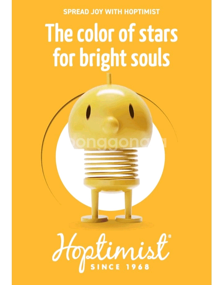 홈티미스트 범블s 오렌지--4