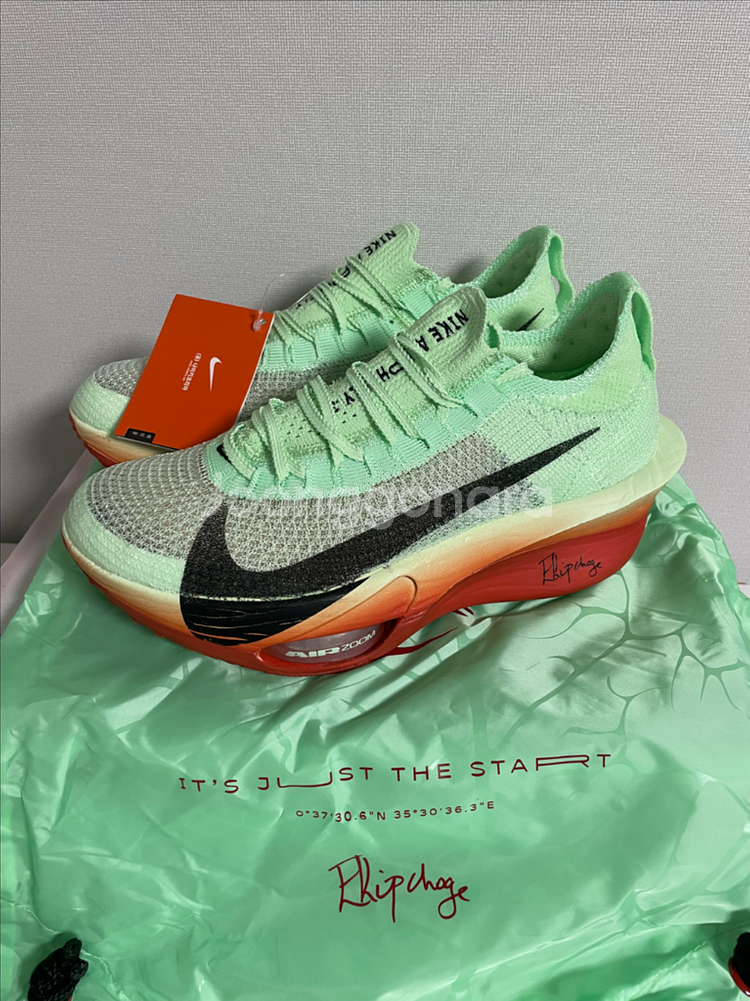 나이키 알파플라이3 킵초게 edit 265[새상품]--2