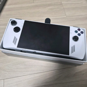 Rog Ally 백갈리 2tb