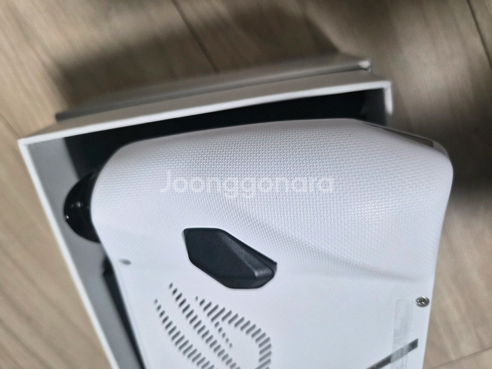 Rog Ally 백갈리 2tb--4