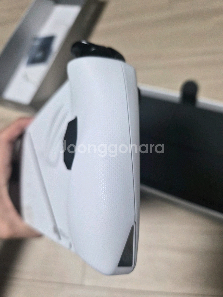 Rog Ally 백갈리 2tb--2