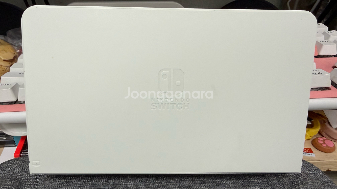 닌텐도 스위치 OLED 화이트, 스위치프로컨트롤러, 탐탁 케이스--3