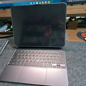 아이패드프로(m4) 13인치 1tb +매키+애케플