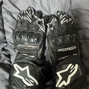 알파인스타 gp R3 롱글러브 레플리카 s사이즈