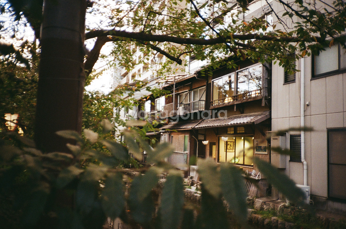 올림푸스 xa 필름카메라 (케이스 + 플래쉬)--9