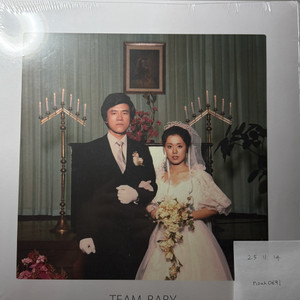 검정치마 3집 TEAM BABY LP