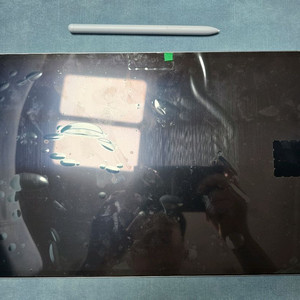 갤럭시탭 s10 울트라 512g wifi