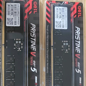 게일 램 pc5 44800 16g x 2