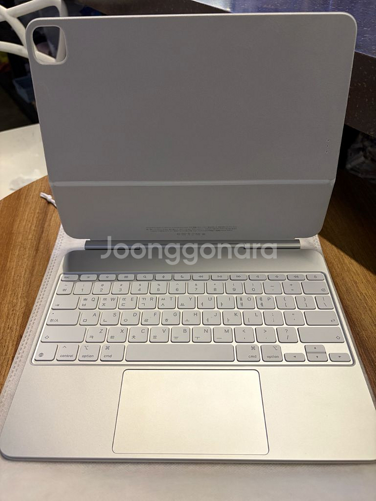 아이패드 프로 m4 13인치 + 매직키보드 + 애케플--6