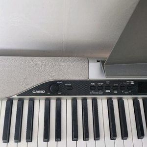 카시오 px-310 전자피아노(나눔) 안나오는 음 있어요