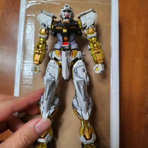 메탈빌드 골드 프레임 미전시 새제품