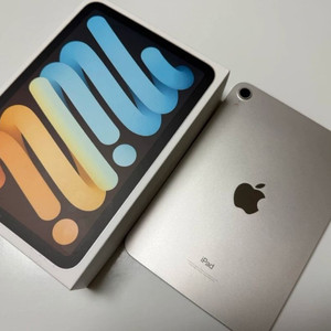 아이패드 미니6 스타라이트