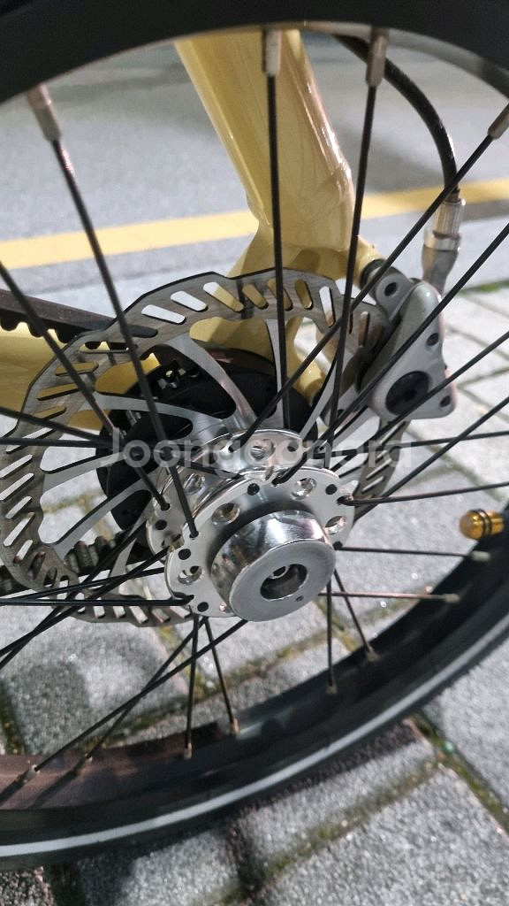 전북) 스트라이다 5.1 크림--5