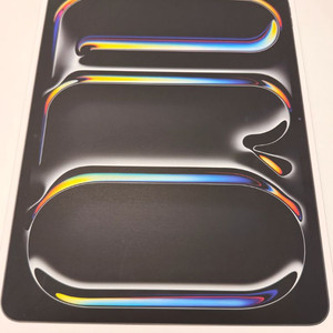 아이패드 프로 13인치 M4 256GB