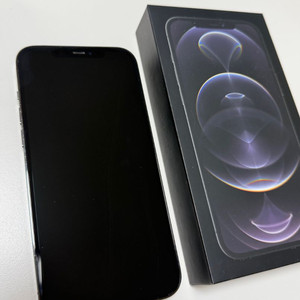 아이폰 12 프로맥스 256기가 그래파이트