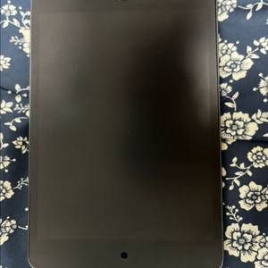 아이패드 미니5 64GB 셀룰러