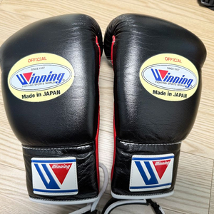 위닝 커스텀 복싱글러브 10온스