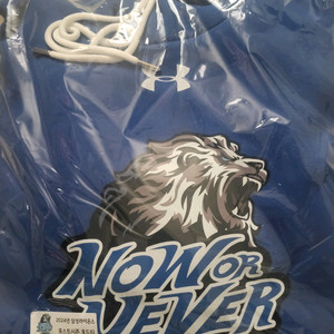 삼성라이온즈 24포스트시즌 후드티 선수지급용 110