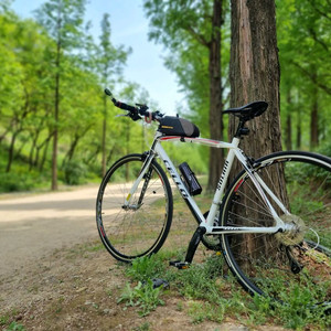 첼로 솔레이어 로드형하이브리드 이미지