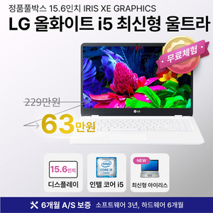 [A+등급]LG 울트라 15.6인치 최신형, 사무/게임용, 롤O,메이플O