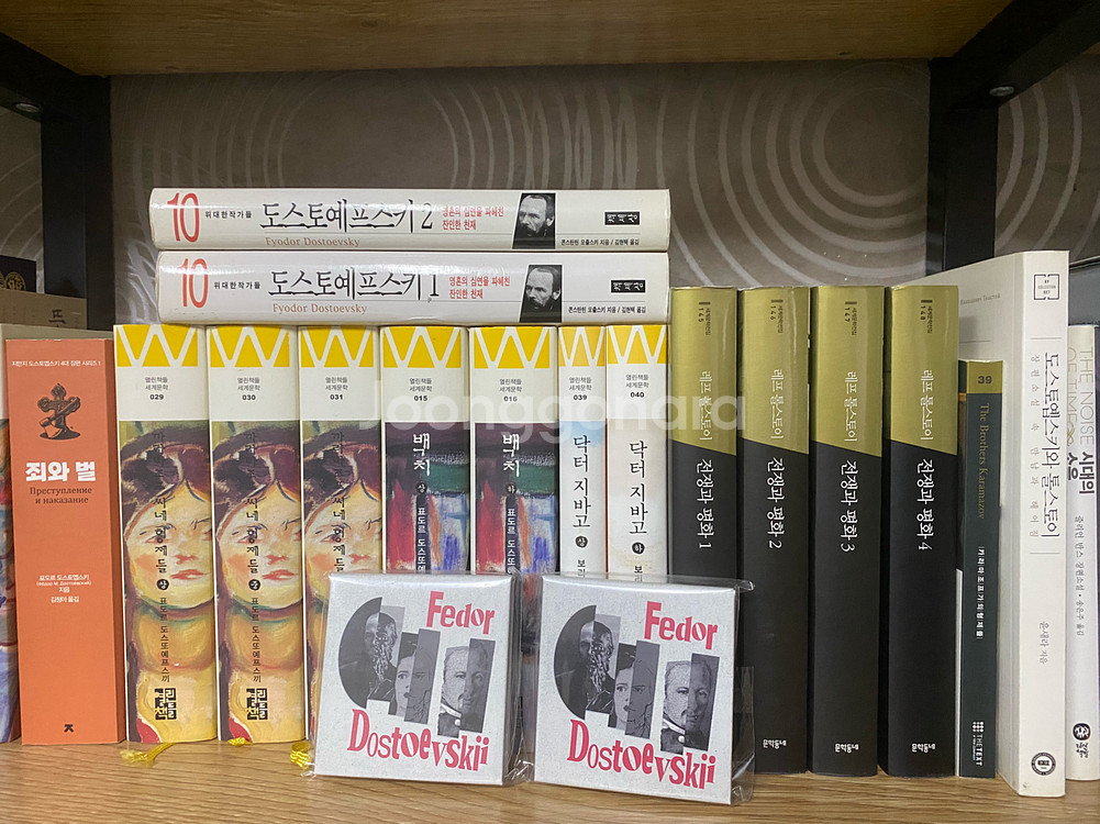 도스토예프스키, 톨스토이, 파스테르나크 관련 책들--0