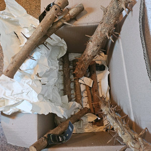 세틀 가시 유목 40센치 이상급 새상품 9개