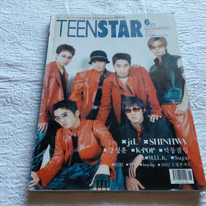 2002틴스타 6월 신화 sugar 슈가 밀크.i.l.k jtl 악동클럽