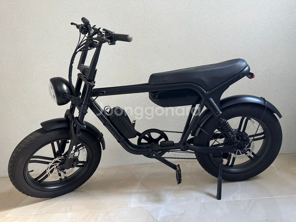 전기자전거--0