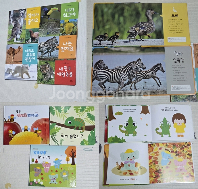 장난감 플레이팩토 블럭퍼즐 슈필매스 아람자연관찰--7