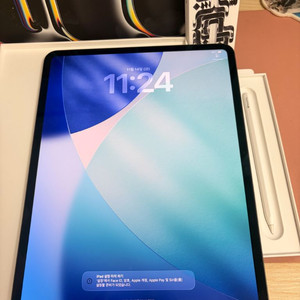 아이패드 프로 m4 13인치 7세대 256기가 스블 와이파이+애펜프로