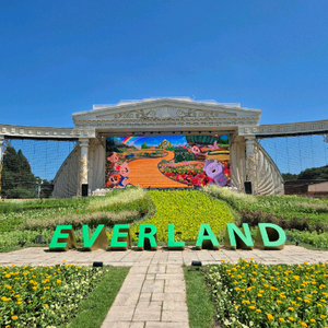 에버랜드 주말 ABC시즌 종일 자유 이용권 종일권 티켓