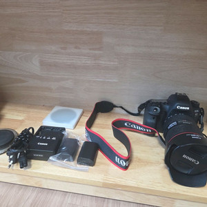 캐논EOS 6D Mark ll +EF 24-105mm F4L IS U