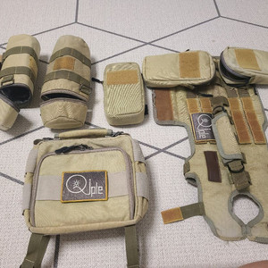 치사이클 몰리 시스템 이미지