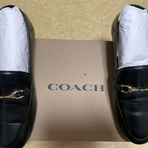 코치 헤일리 로퍼