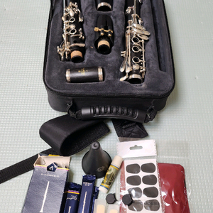 독일 부페 e12f 목관 클라리넷 (패드교체 상태최상)