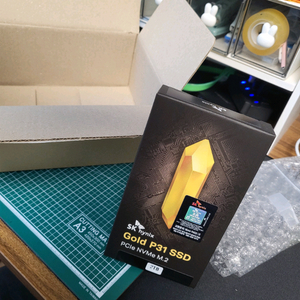 SK하이닉스 Gold P31 SSD 2TB