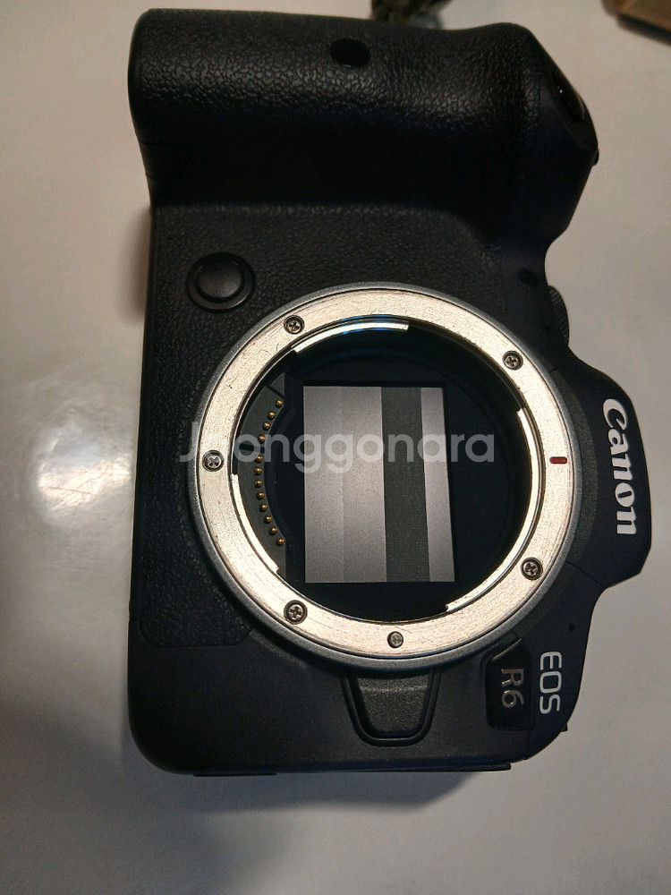 캐논 EOS R6 미러리스 카메라--0