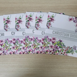 정품) 디올 카드