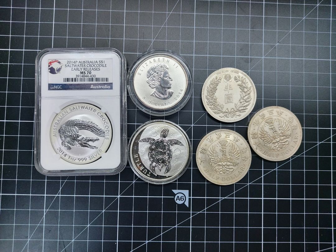 1온스 블리온 6개 총 6온스 일괄 택포 64만