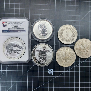 1온스 블리온 6개 총 6온스 일괄 택포 64만