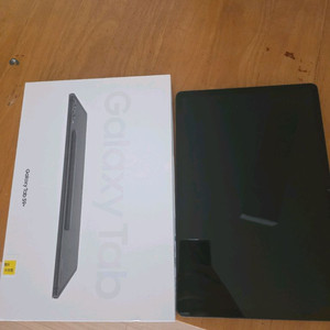 갤럭시 탭 s9+ 256기가 wifi