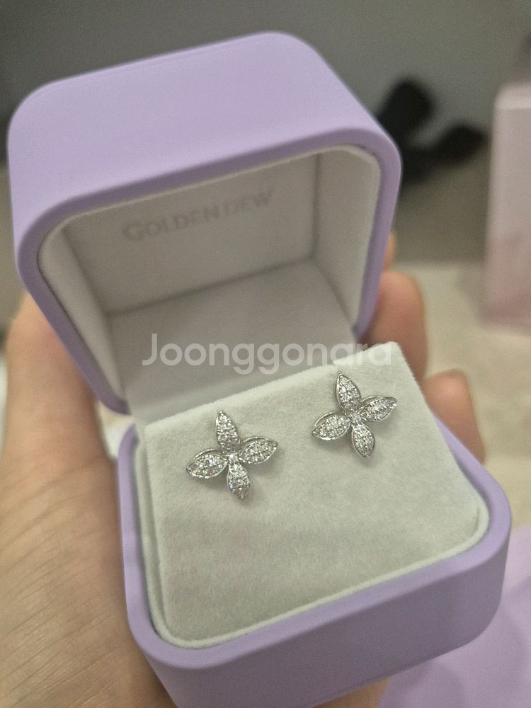 골든듀 펄시피아 미뇽 귀걸이--0