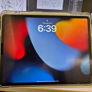 아이패드 프로 5세대 12.9인치 256GB 셀룰러