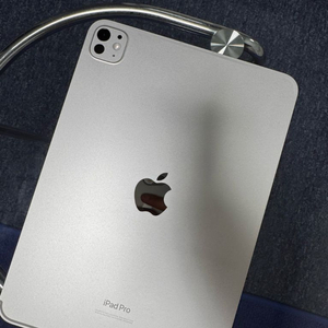 아이패드 프로 11 M4 256GB 셀룰러+애케플