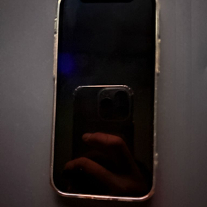 아이폰 12 미니그린 128기가