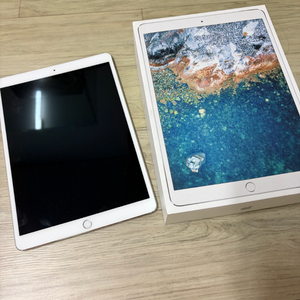 아이패드 프로10.5 256 실버 와이파이