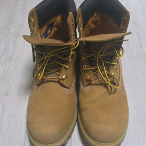 팀버랜드 6인치 워터프루프 프리미엄 부츠(10061 9.5M)