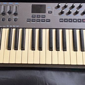 넥타 LX61 마스터 키보드 (야마하 페달 포함) 판매