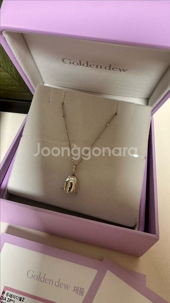 골든듀 듀레이디벨+리큐브 16 일괄--1