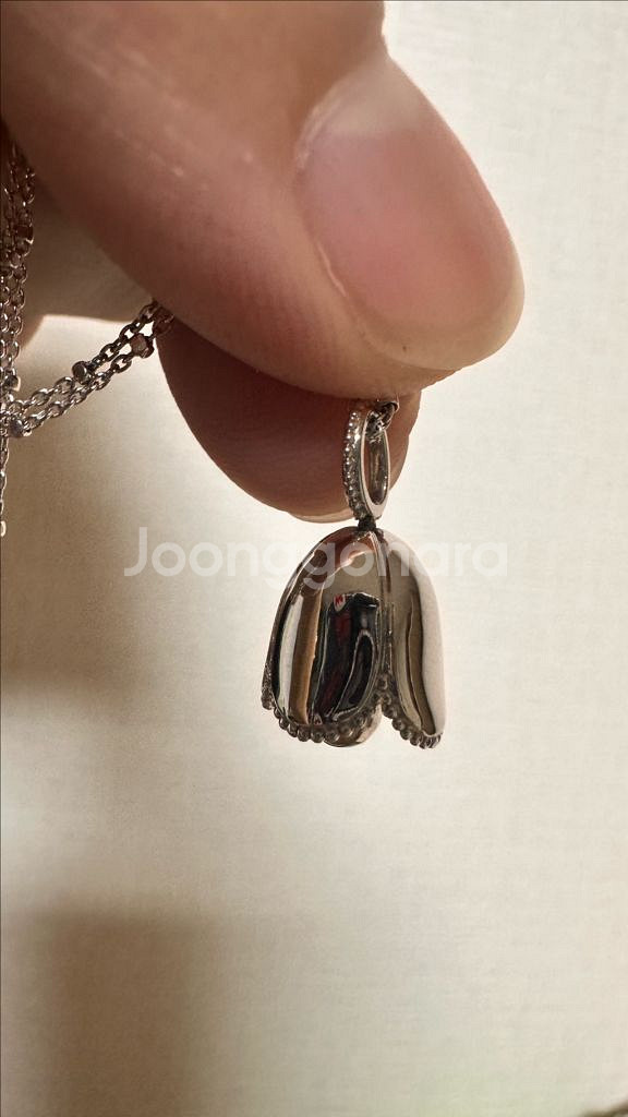 골든듀 듀레이디벨+리큐브 16 일괄--2